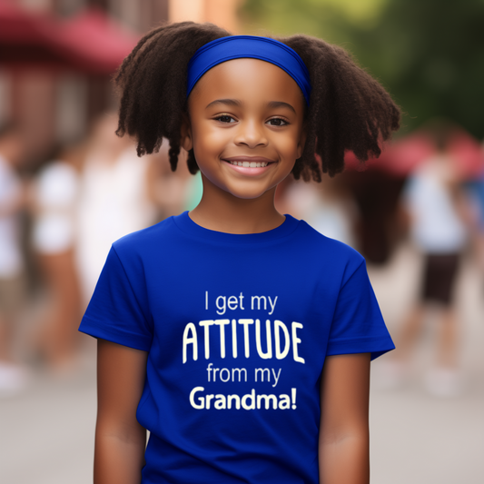 "Attitude" Unisex Youth T-Shirt (Royal Blue)